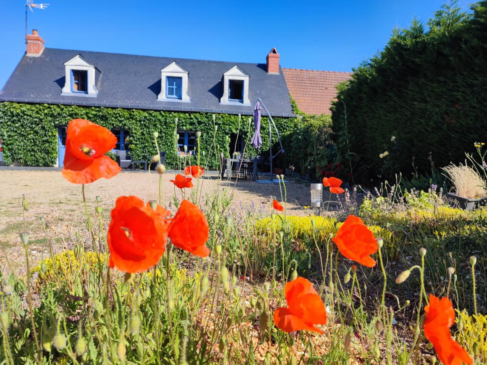 Le Clos Champetre Longue Экстерьер фото